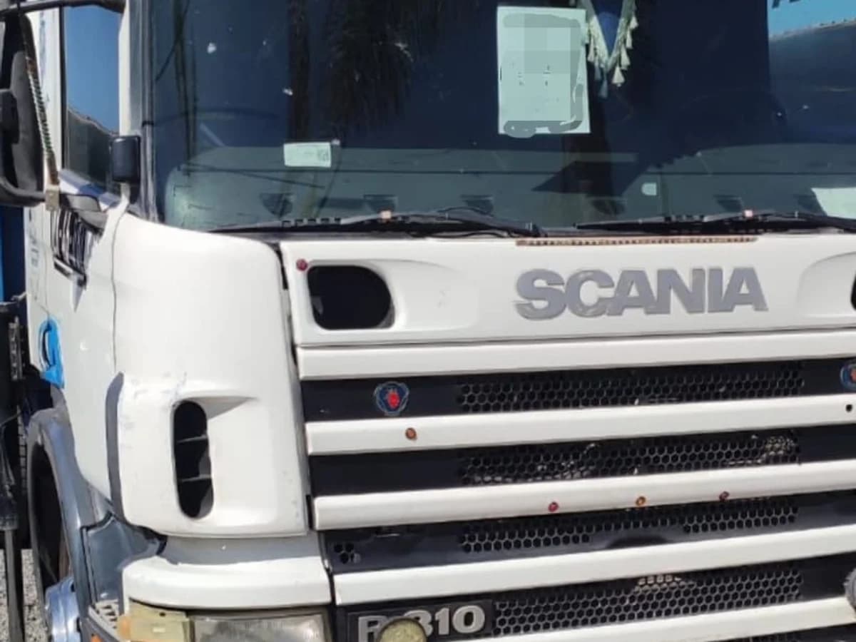 2006 SCANIA P 94 DB - Imagen 1