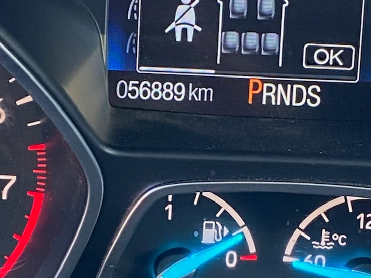 FORD ESCAPE 4x4 Limited 2.0 2020 - Imagen 15