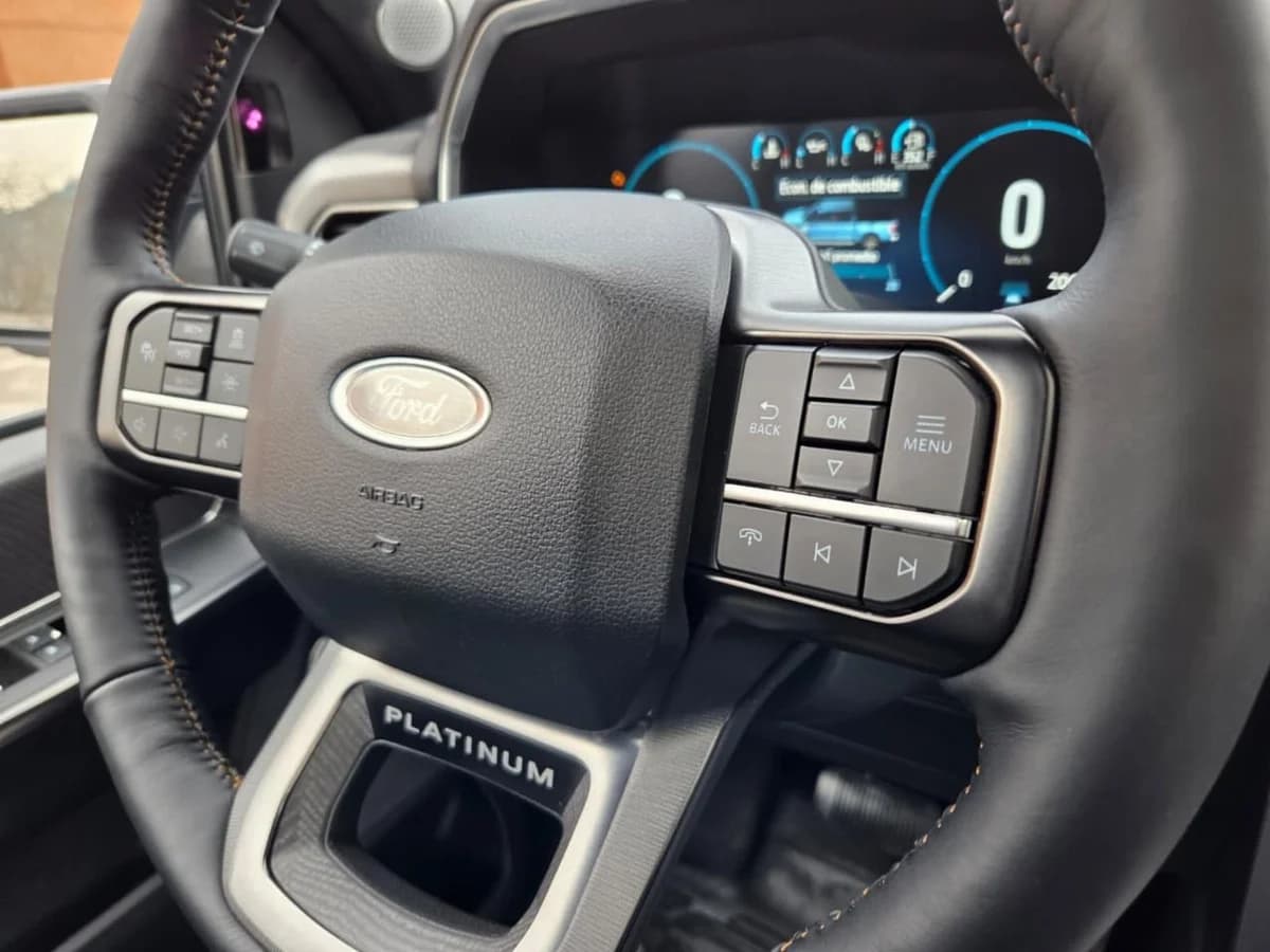 Ford F-150 Platinum 4x4 3.5 Año 2024 - Imagen 25