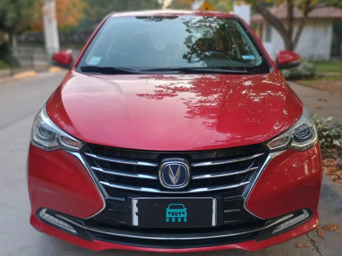 Alsvin 1.4 Luxury - Imagen 2