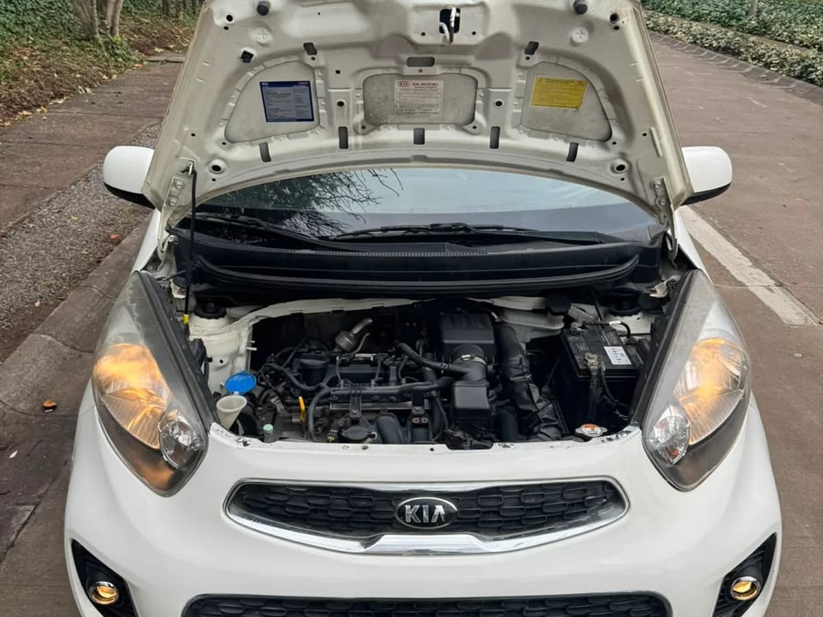 KIA Morning EX 1.0L MT5 AC año 2016 - Imagen 14